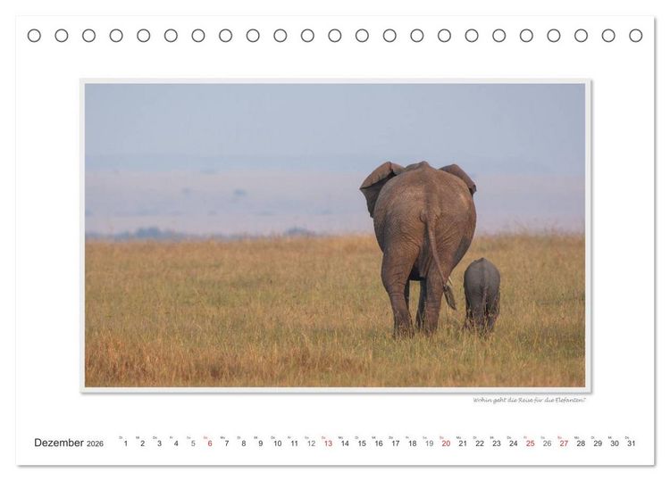 Produktbild: Emotionale Momente: Aus dem Leben der Elefanten. / CH-Version (Tischkalender 2026 DIN A5 quer), CALVENDO Monatskalender