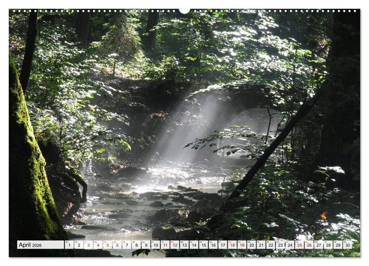 Produktbild: G&ouml;ttererwachen. Die Natur im mystischen Nebel (Wandkalender 2026 DIN A2 quer), CALVENDO Monatskalender