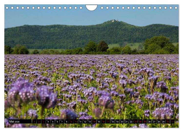 Produktbild: Rund um die Teck (Wandkalender 2026 DIN A4 quer), CALVENDO Monatskalender