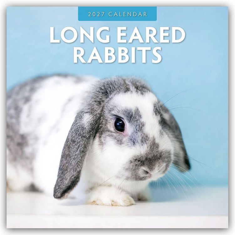 Produktbild: Long Eared Rabbits &ndash; Langohrhasen 2027 &ndash; 16-Monatskalender
