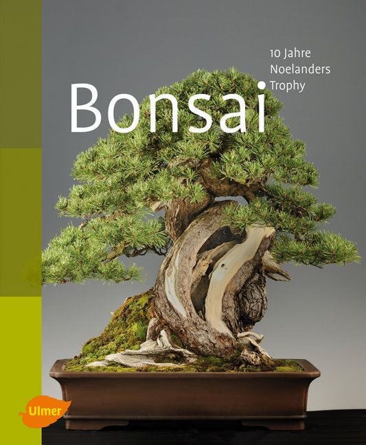 Bonsai" online kaufen