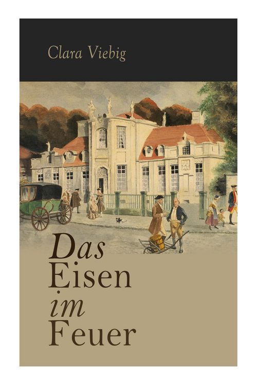 Produktbild: Das Eisen im Feuer