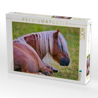 Produktbild: CALVENDO Puzzle Ausruhen muss auch sein | 1000 Teile Lege-Gr&ouml;&szlig;e 64x48cm Foto-Puzzle f&uuml;r gl&uuml;ckliche Stunden