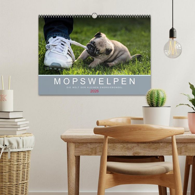 Produktbild: Mopswelpen (Wandkalender 2026 DIN A3 quer), CALVENDO Monatskalender