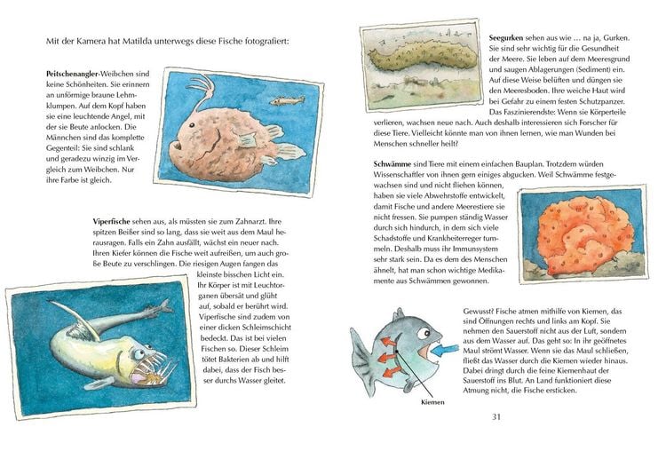 Produktbild: Alles klar! Der kleine Drache Kokosnuss erforscht die Ozeane