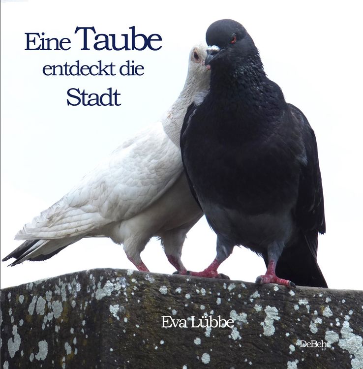 Produktbild: Eine Taube entdeckt die Stadt
