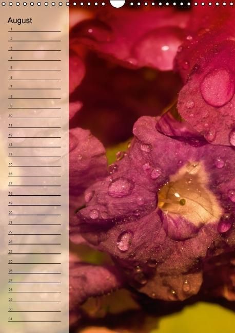Produktbild: Immerw&auml;hrender Geburtstagskalender - Bl&uuml;tentr&auml;ume (Wandkalender immerw&auml;hrend DIN A3 hoch)