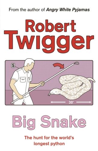 Produktbild: Big Snake