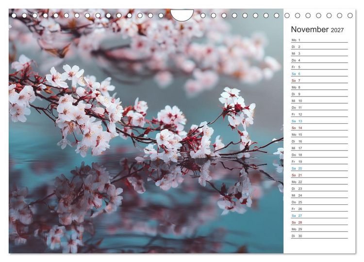 Produktbild: Japanische Kirschbl&uuml;te (Wandkalender 2027 DIN A4 quer), CALVENDO Monatskalender