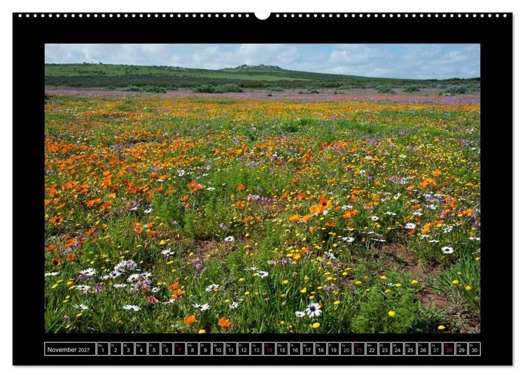 Produktbild: S&uuml;dafrika (Wandkalender 2027 DIN A2 quer), CALVENDO Monatskalender