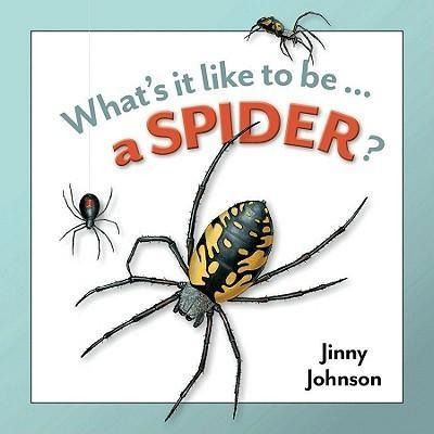 Produktbild: A Spider?