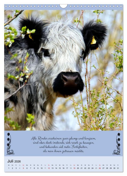 Produktbild: Buntes Tierleben (Wandkalender 2026 DIN A3 hoch), CALVENDO Monatskalender
