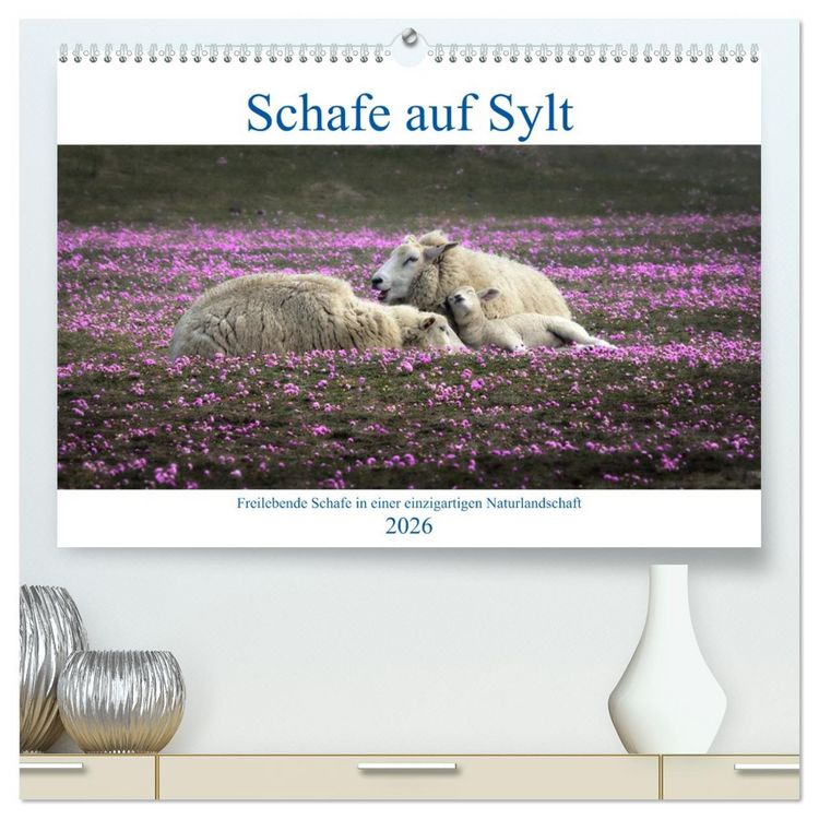 Produktbild: Schafe auf Sylt (hochwertiger Premium Wandkalender 2026 DIN A2 quer), Kunstdruck in Hochglanz