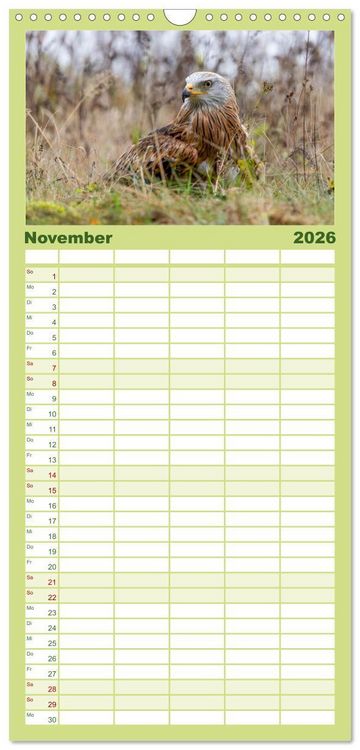 Produktbild: Familienplaner 2026 - Europas Greifv&ouml;gel und Eulen mit 5 Spalten (Wandkalender, 21 x 45 cm) CALVENDO