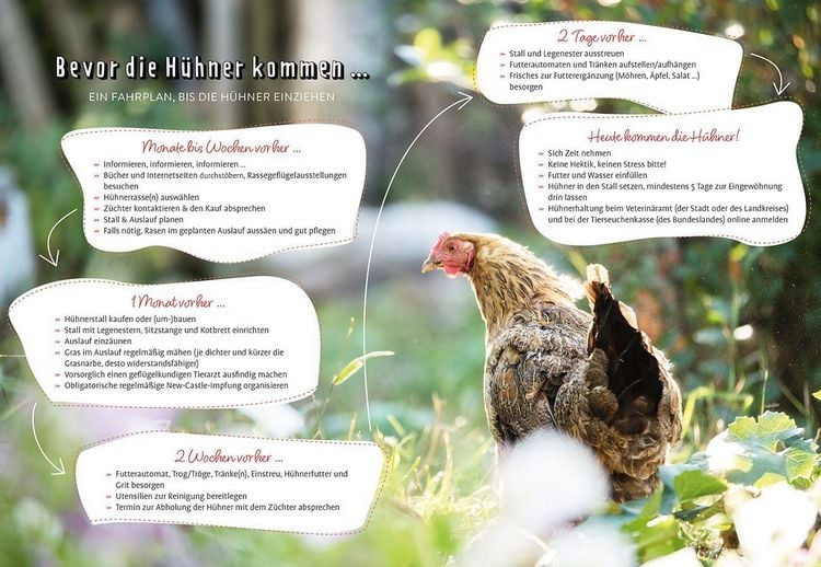 Produktbild: Im Garten gackert's