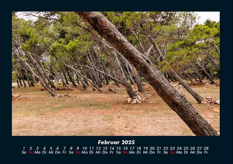 Produktbild: Waldzauber 2025 Fotokalender DIN A4