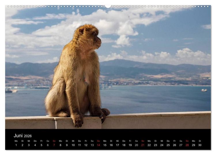Produktbild: Gibraltar - der Affenfelsen (hochwertiger Premium Wandkalender 2026 DIN A2 quer), Kunstdruck in Hochglanz