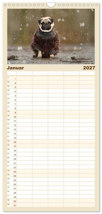 Produktbild: Familienplaner 2027 - Lustige M&ouml;pse aus der Hundeknipserei mit 5 Spalten (Wandkalender, 21 x 45 cm) CALVENDO