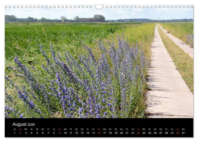 Produktbild: Vier Jahreszeiten im Havelland (Wandkalender 2026 DIN A3 quer), CALVENDO Monatskalender