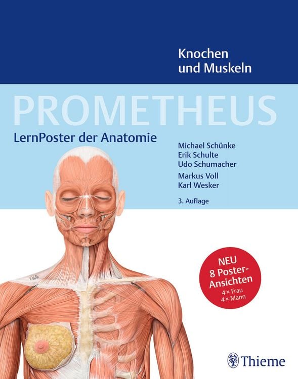 Produktbild: PROMETHEUS LernPoster der Anatomie, Knochen und Muskeln