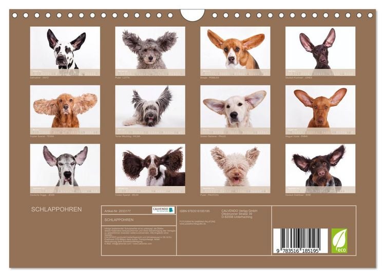 Produktbild: SCHLAPPOHREN (Wandkalender 2026 DIN A4 quer), CALVENDO Monatskalender