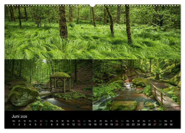 Produktbild: Atemberaubende und Emotionale Landschaften in der Pfalz (hochwertiger Premium Wandkalender 2026 DIN A2 quer), Kunstdruck in Hochglanz