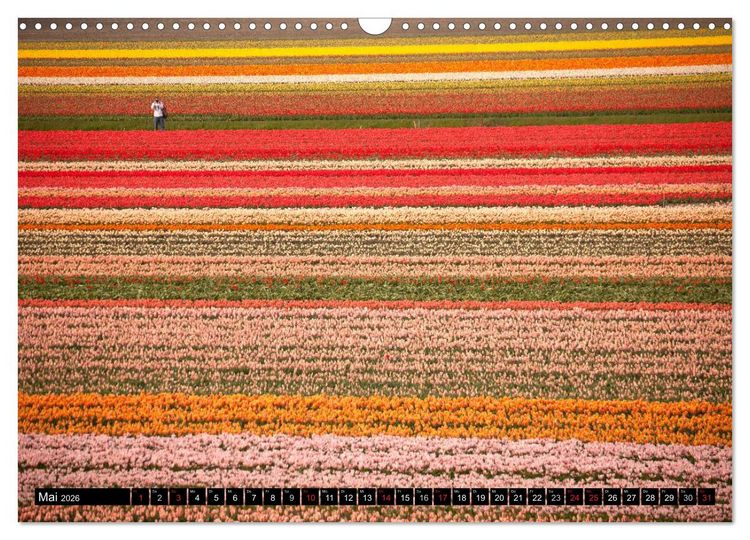 Produktbild: Niederlande &ndash; Un-Typisches aus Holland (Wandkalender 2026 DIN A3 quer), CALVENDO Monatskalender