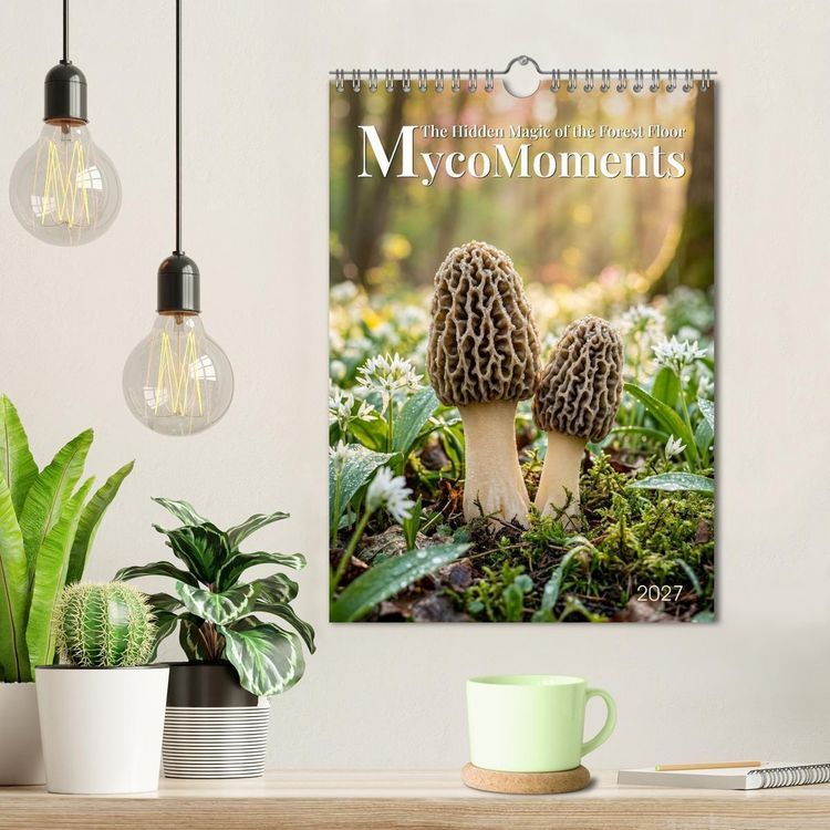 Produktbild: MycoMoments (Wall Calendar 2027 DIN A4 portrait), CALVENDO 12 Month Wall Calendar