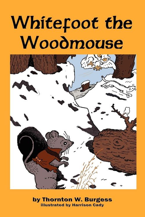 Produktbild: Whitefoot the Woodmouse