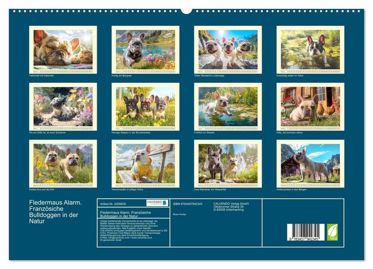 Produktbild: Fledermaus Alarm. Franz&ouml;siche Bulldoggen in der Natur (hochwertiger Premium Wandkalender 2026 DIN A2 quer), Kunstdruck in Hochglanz