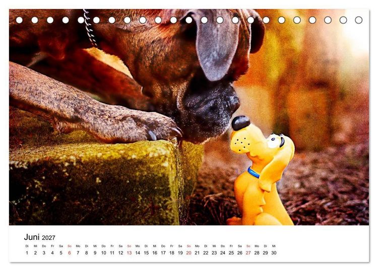 Produktbild: Deutscher Boxer (Tischkalender 2027 DIN A5 quer), CALVENDO Monatskalender