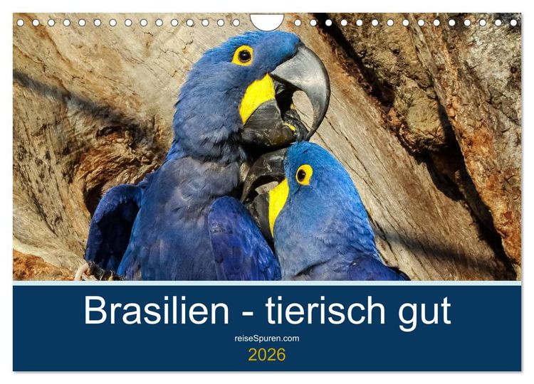 Produktbild: Brasilien tierisch gut 2026 (Wandkalender 2026 DIN A4 quer), CALVENDO Monatskalender