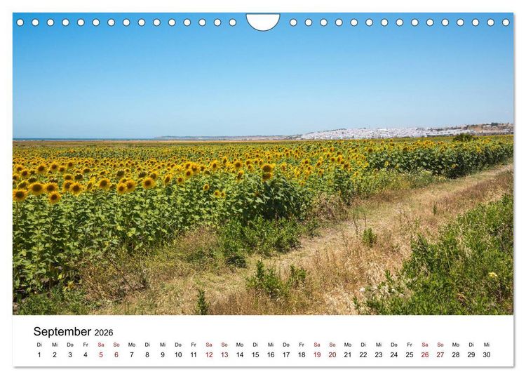 Produktbild: Andalusien - Landschaften rund um Conil de la Frontera (Wandkalender 2026 DIN A4 quer), CALVENDO Monatskalender