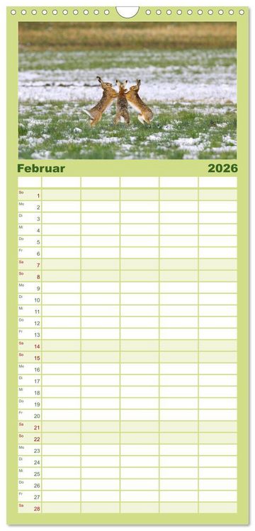 Produktbild: Familienplaner 2026 - Feldhasen in H&ouml;chstform mit 5 Spalten (Wandkalender, 21 x 45 cm) CALVENDO