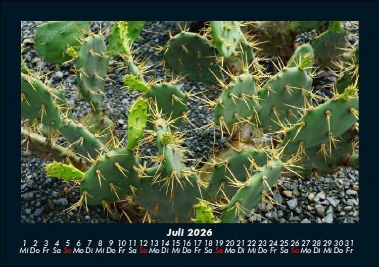 Produktbild: Naturlandschaften 2026 Fotokalender DIN A5