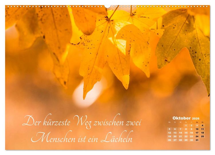 Produktbild: Chinesische Weisheiten (hochwertiger Premium Wandkalender 2026 DIN A2 quer), Kunstdruck in Hochglanz
