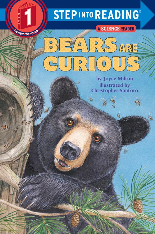 Produktbild: Bears Are Curious