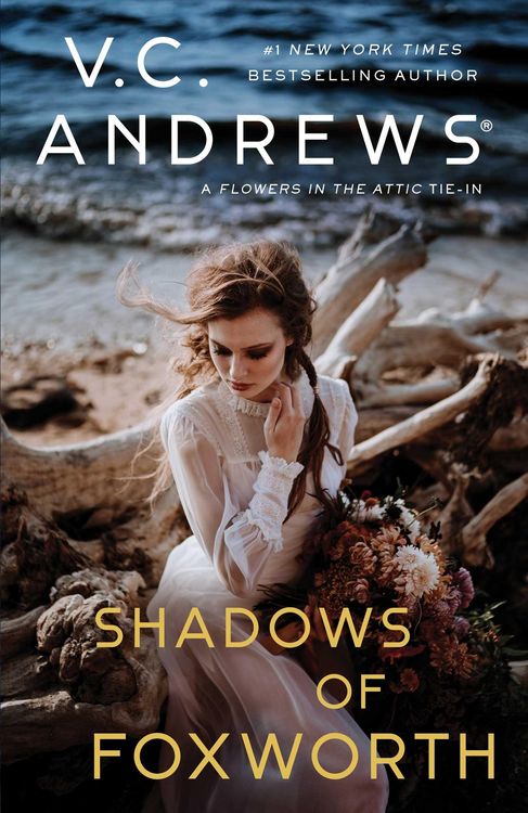 Produktbild: Shadows of Foxworth