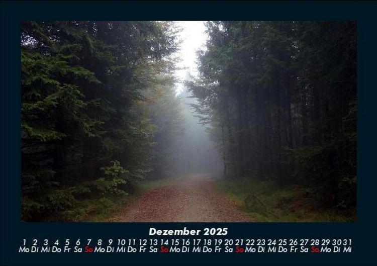 Produktbild: Waldzauber 2025 Fotokalender DIN A5