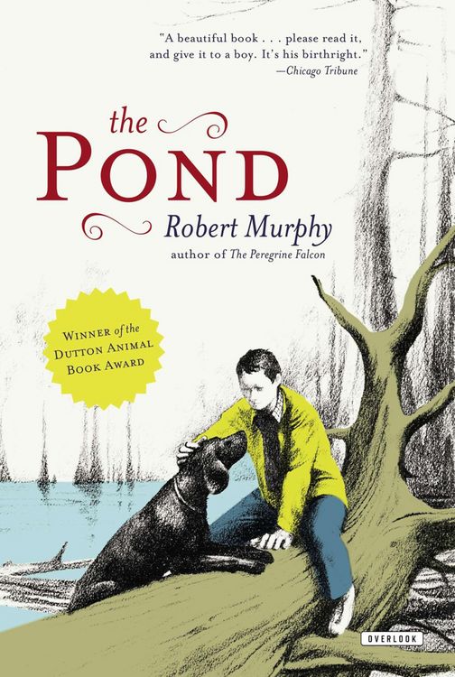 Produktbild: Pond
