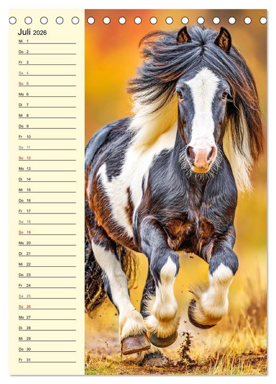Produktbild: Zauber der Ponys. Kleine Pferde in der Natur (Tischkalender 2026 DIN A5 hoch), CALVENDO Monatskalender