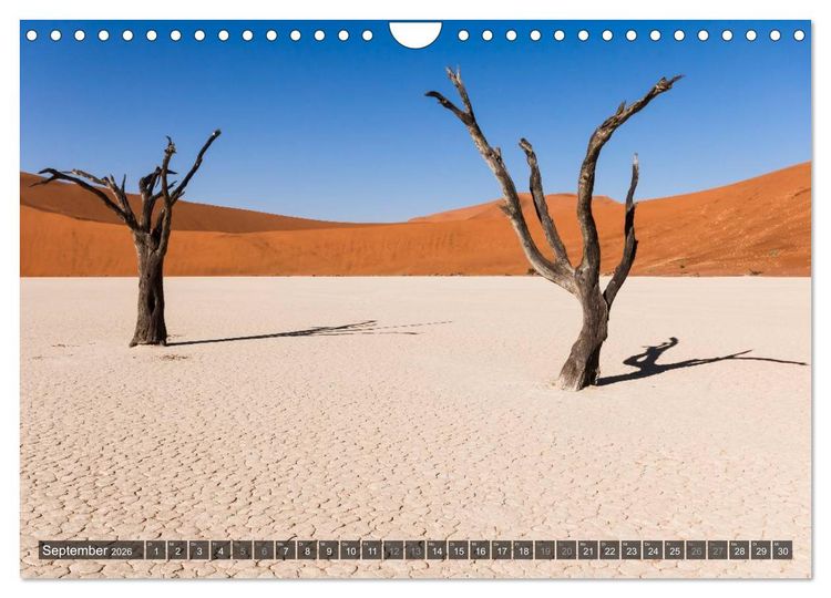 Produktbild: Wildes Namibia (Wandkalender 2026 DIN A4 quer), CALVENDO Monatskalender