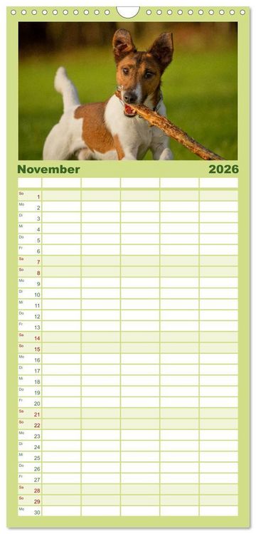 Produktbild: Familienplaner 2026 - Faszination Hund mit 5 Spalten (Wandkalender, 21 x 45 cm) CALVENDO