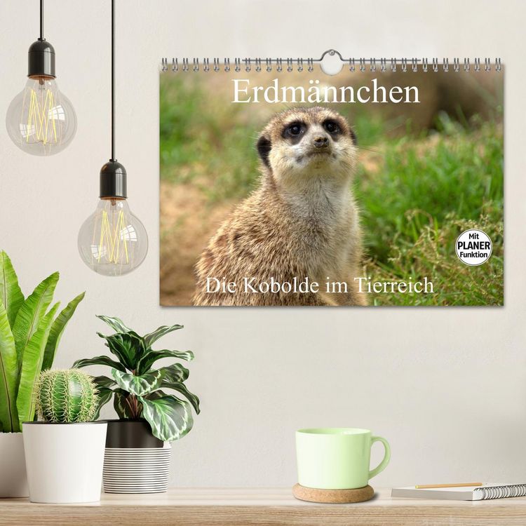 Produktbild: Erdm&auml;nnchen - Die Kobolde im Tierreich (Wandkalender 2026 DIN A4 quer), CALVENDO Monatskalender