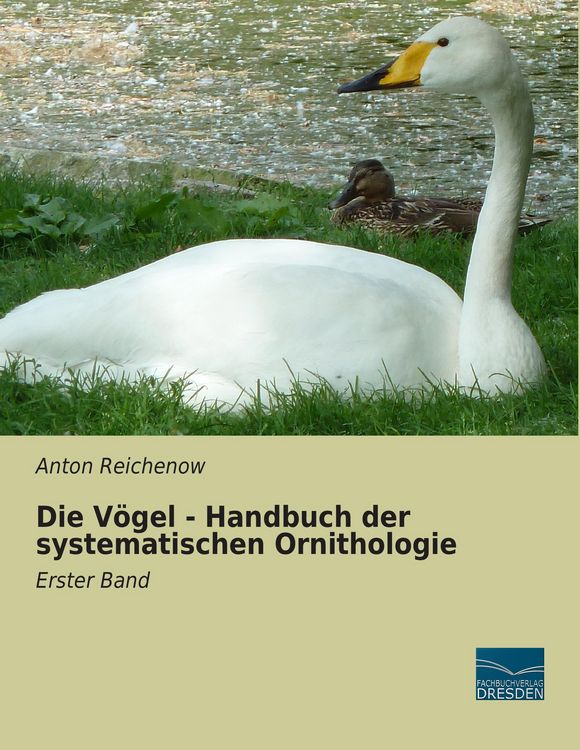 Produktbild: Die V&ouml;gel - Handbuch der systematischen Ornithologie