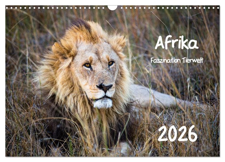Produktbild: Afrika - Faszination Tierwelt (Wandkalender 2026 DIN A3 quer), CALVENDO Monatskalender