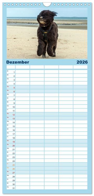 Produktbild: Familienplaner 2026 - Witzige Fellnasen mit 5 Spalten (Wandkalender, 21 x 45 cm) CALVENDO