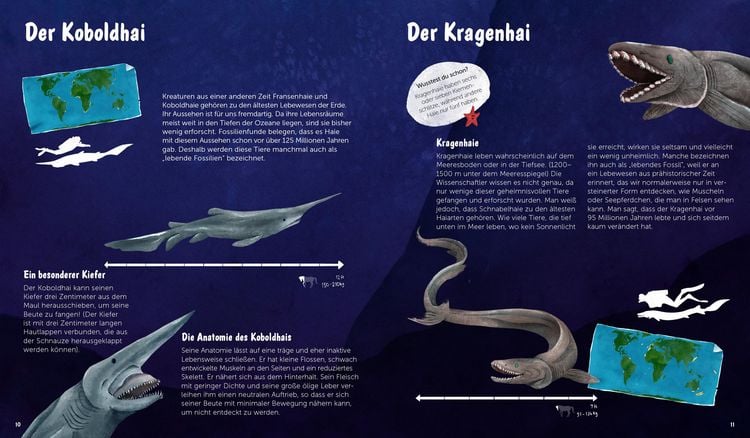Produktbild: Die Welt der Haie