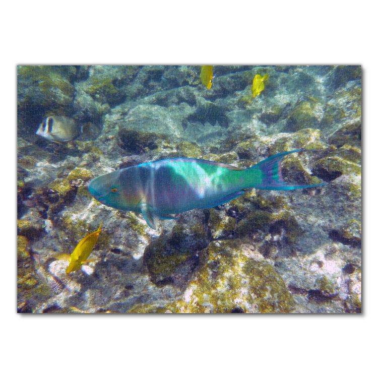 Produktbild: Lais Puzzle Regenbogenfisch 1000 Teile