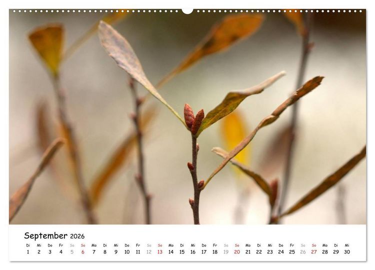 Produktbild: Unterwegs im Teufelsmoor (hochwertiger Premium Wandkalender 2026 DIN A2 quer), Kunstdruck in Hochglanz